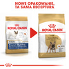 Royal Canin BHN French Bulldog Adult 1,5kg Karma Sucha Dla Psów Dorosłych Rasy Bulldog Francuski