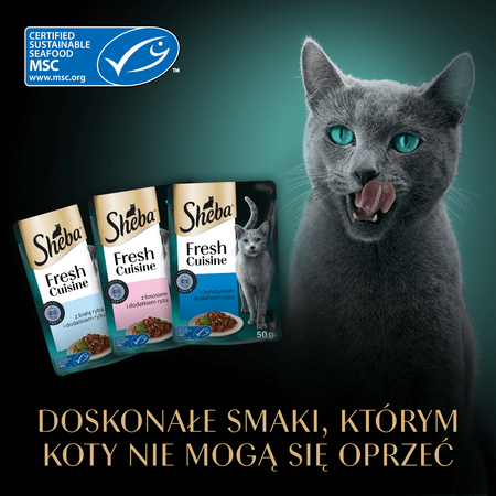 Sheba Fresh Cuisine Taste of Tokyo 36x50g Mokra Karma Dla Dorosłych Kotów Z Tuńczykiem I Łososiem W Sosie