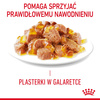 Royal Canin Hair & Skin 12x85g Mokra Karma Dla Kotów Dorosłych w Galaretce Zdrowa Skóra Piękna Sierść
