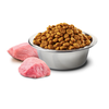Farmina N&D Cat Prime Wild Boar Apple 5kg Sucha Karma Dla Kota Dzik z Jabłkiem