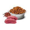 Farmina N&D Quinoa Dog Skin & Coat 7kg Sucha Karma Dla Dorosłych Psów Średnich i Dużych Ras z Jeleniem Na Skórę i Sierść 
