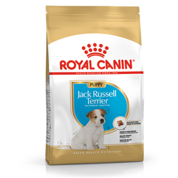 Royal Canin BHN Jack Russell Terrier Puppy 1,5kg Karma Sucha Dla Szczeniąt Do 10 Miesiąca Rasy Jack Russel Terrier