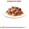 Royal Canin Instinctive FHN Karma Mokra W Sosie Dla Kotów Dorosłych, Wybrednych 12x85g