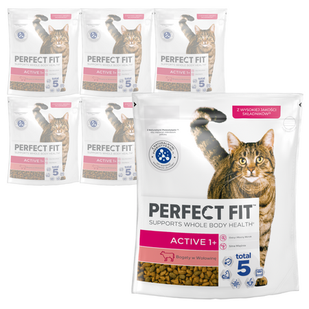 Perfect Fit Active 1+ z Wołowiną 6x750g Sucha Karma Dla Aktywnych Dorosłych Kotów