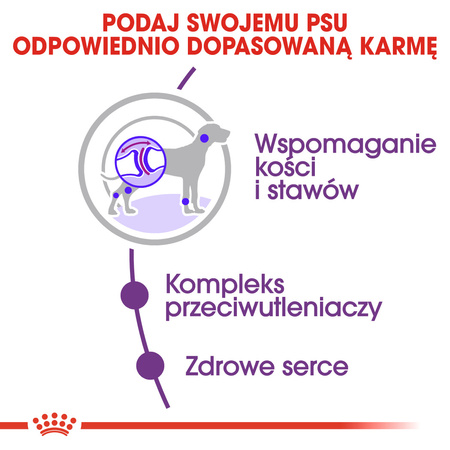 Royal Canin Giant Adult Karma Sucha Dla Psów Dorosłych Ras Olbrzymich 15kg