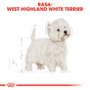 Royal Canin BHN West Highland White Terrier Adult 3kg Karma Sucha Dla Psów Dorosłych Rasy West Highland White Terrier