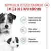Royal Canin Starter Mousse Mother & Babydog 195g Karma Mokra Mus Dla Suk W Czasie Ciąży Laktacji I Szczeniąt