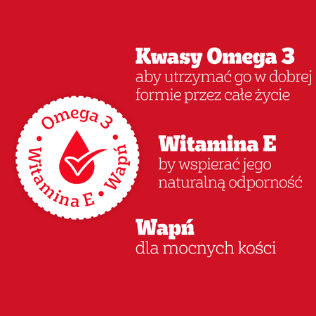 Pedigree Biscrok Gravy Bones 400g Przysmak Dla Psa