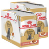 Royal Canin FBN British Shorthair Adult 24x85g Karma Mokra W Sosie Dla Kotów Dorosłych Rasy Brytyjski Krótkowłosy