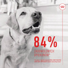 Royal Canin Supplements Dog Digestion Adult 160g Suplementy Dla Psów Dorosłych W Postaci Przysmaków Wspierające Prawidłowe Trawienie