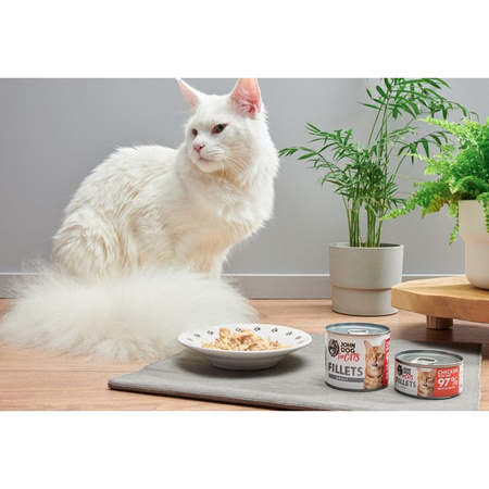 John Dog for Cats Mokra Karma Dla Dorosłych Kotów Filety Kurczak Z Wołowiną 6x70g