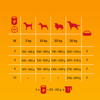 PEDIGREE Junior Puszka 12x 400g - Mokra Karma dla Psów z Kurczakiem w Galaretce