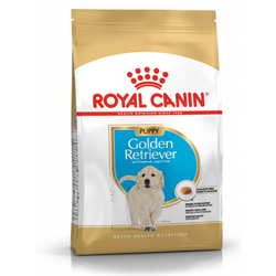 Royal Canin BHN Golden Retriever Puppy 3kg Karma Sucha Dla Szczeniąt Do 15 Miesiąca Rasy Golden Retriever