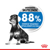Royal Canin Mini Light Weight Care 8kg Karma Sucha Dla Psów Małych Ras Z Tendencją Do Nadwagi