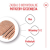 Royal Canin Starter Mousse Mother & Babydog 195g Karma Mokra Mus Dla Suk W Czasie Ciąży Laktacji I Szczeniąt