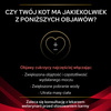 Purina Pro Plan Veterinary Diets Feline DM Diabetes Management Sucha Karma Dla Kota 5kg Redukcja Glukozy