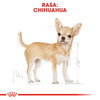 Royal Canin BHN Chihuahua Adult 1,5kg Karma Sucha Dla Psów Dorosłych Rasy Chihuahua