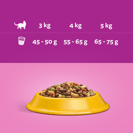 Whiskas Adult 1,4kg Sucha Karma Pełnoporcjowa Dla Dorosłych Kotów Z Kurczakiem