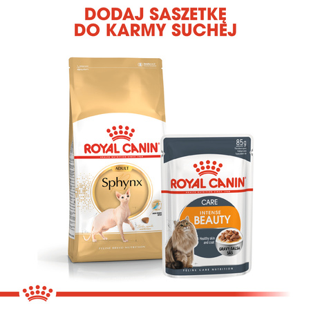 Royal Canin FBN Sphynx Adult 10kg Karma Sucha Dla Kotów Dorosłych Rasy Sfinks