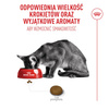 Royal Canin Exigent Fussy 2kg Karma Sucha Dla Kotów Dorosłych Wybrednych