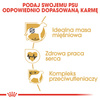 Royal Canin BHN Boxer Adult 12kg Karma Sucha Dla Psów Dorosłych Rasy Bokser