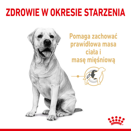 ROYAL CANIN Adult 5+ Labrador Retriever Sucha Karma Dla Psa 12kg