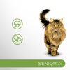 Perfect Fit Senior 7+ 6x85g Mokra Karma Dla Starszych Kotów Z Indykiem I Marchewką W Sosie
