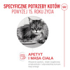 Royal Canin Ageing 15+ Karma Mokra 85g Kawałki w Sosie Dla Kotów Dojrzałych Po 15 Roku Życia