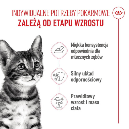 Royal Canin FHN Kitten Sterilised w Sosie i Galaretce 24x85g Karma Mokra Dla Kociąt Sterylizowanych Do 12 Miesiąca Życia