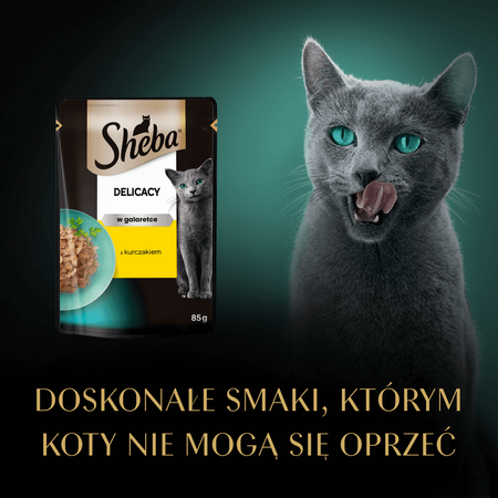 Sheba Delicacy Saszetka 12x85g Mokra Karma Pełnoporcjowa Dla Kota Kawałki Z Kurczakiem W Galaretce