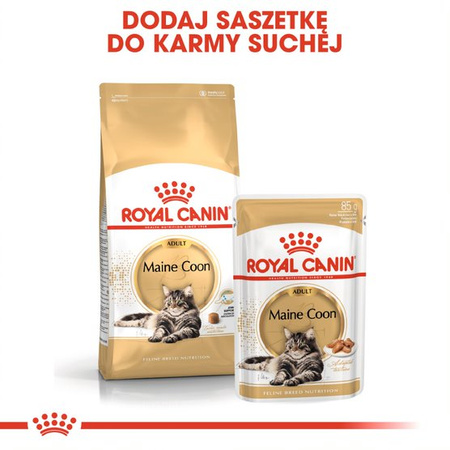 Royal Canin FBN Maine Coon Adult 24x85g Karma Mokra W Sosie Dla Kotów Dorosłych Rasy Maine Coon