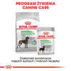 Royal Canin CCN Maxi Digestive Care 12kg Karma Sucha Dla Psów Ras Dużych O Wrażliwym Przewodzie Pokarmowym