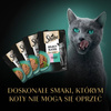 SHEBA Saszetka 4x85g Selection Sauce Smaki Rybne - Mokra Karma Dla Kotów W Sosie (z Białą Rybą, Łososiem, Dorszem, Tuńczykiem)