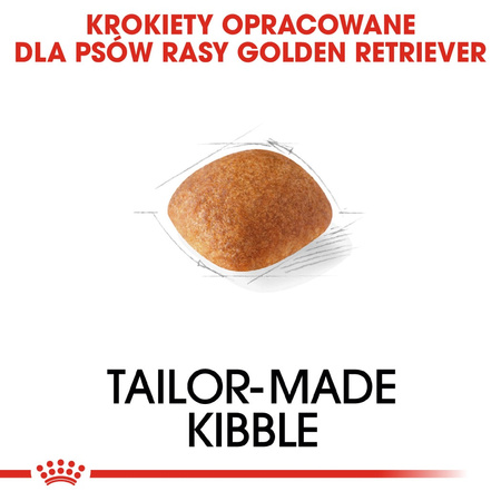 Royal Canin Breed Health Nutrition Adult Golden Retriever 2x12kg Sucha Karma Dla Psów