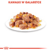 Royal Canin Instinctive FHN Karma Mokra W Galaretce Dla Kotów Dorosłych Wybrednych 85g