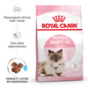 Royal Canin Mother&babycat 2kg Karma Sucha Dla Kotek W Okresie Ciąży, Laktacji I Kociąt