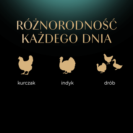 Sheba Fresh&Fine Megapack Saszetki 100x50g Mokra Karma Dla Kotów W Sosie Kurczak Drób Indyk 