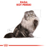 Royal Canin FBN Persian Adult 2kg Karma Sucha Dla Kotów Dorosłych Rasy Pers