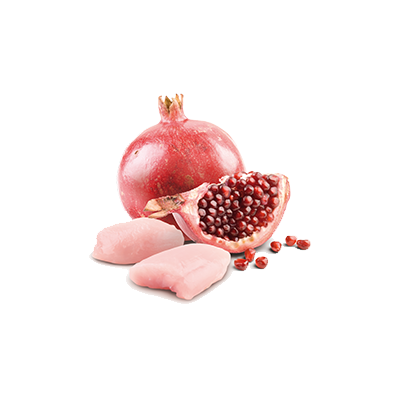 Farmina N&D Cat Prime Chicken & Pomegranate Kitten 70g Mokra Karma Dla Kociąt Kurczak z Granatem