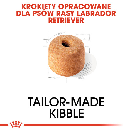 Royal Canin BHN Labrador Retriever Adult 12kg Karma Sucha Dla Psów Dorosłych Rasy Labrador Retriever