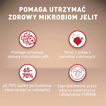 Purina ONE Mini Sensitive z Łososiem i Ryżem 800g Sucha Karma Dla Psów Małych Ras