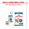 Royal Canin Ageing 15+ Karma Mokra 12x85g Kawałki w Sosie Dla Kotów Dojrzałych Po 15 Roku Życia