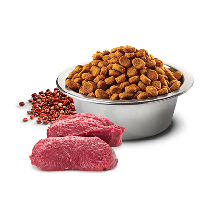 Farmina N&D Quinoa Dog Skin & Coat 2,5kg Sucha Karma Dla Dorosłych Psów Małych Ras  Z Jeleniem Kokosem I Kurkumą