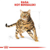 Royal Canin FBN Bengal Adult 10kg Karma Sucha Dla Kotów Dorosłych Rasy Bengalskiej Powyżej 12 Miesiąca Życia