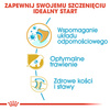 Royal Canin BHN German Shepherd Puppy 3kg Karma Sucha Dla Szczeniąt Do 15 Miesiąca Rasy Owczarek Niemiecki