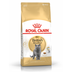ROYAL CANIN British Shorthair 4kg karma sucha dla kotów dorosłych rasy brytyjski krótkowłosy
