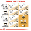 ROYAL CANIN British Shorthair 4kg karma sucha dla kotów dorosłych rasy brytyjski krótkowłosy