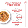 Royal Canin FHN Kitten Sterilised W Galaretce 85g Karma Mokra Dla Kociąt Sterylizowanych Do 12 Miesiąca Życia