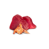 Farmina N&D Cat Natural Tuna & Shrimp 70g Mokra Karma Dla Kota Tuńczyk Krewetka