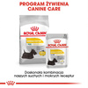 Royal Canin CCN Dermacomfort 85g Karma Mokra Pasztet Dla Psów Dorosłych O Wrażliwej Skórze Skłonnej Do Podrażnień